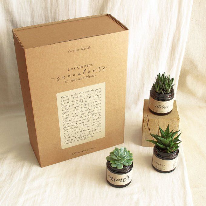 La Box Succulente | Trio 120 ml