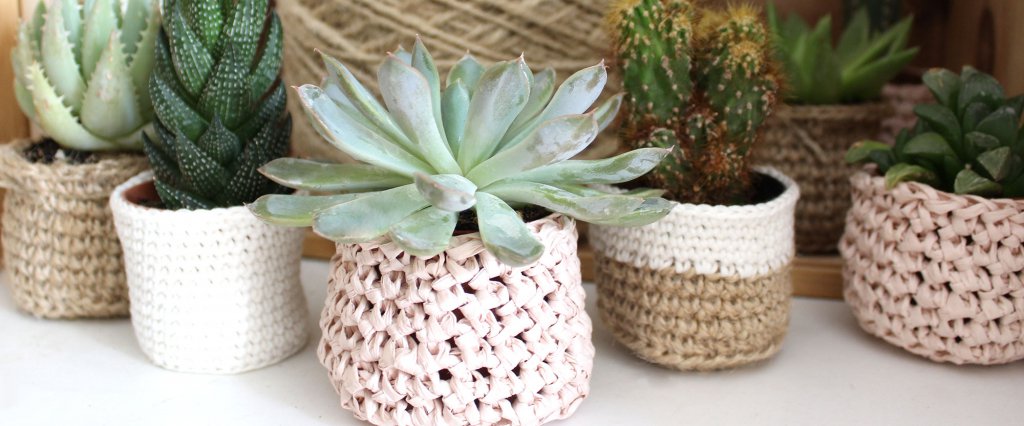 Crochet & Succulentes