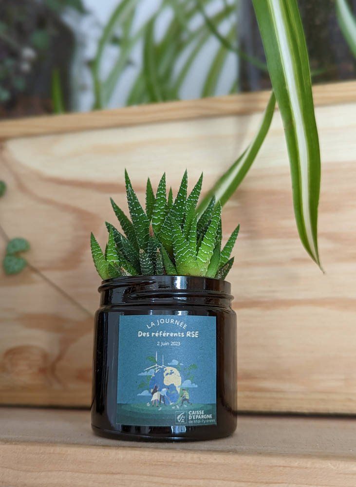 Cadeau événementiel | La Succulente 60 ml