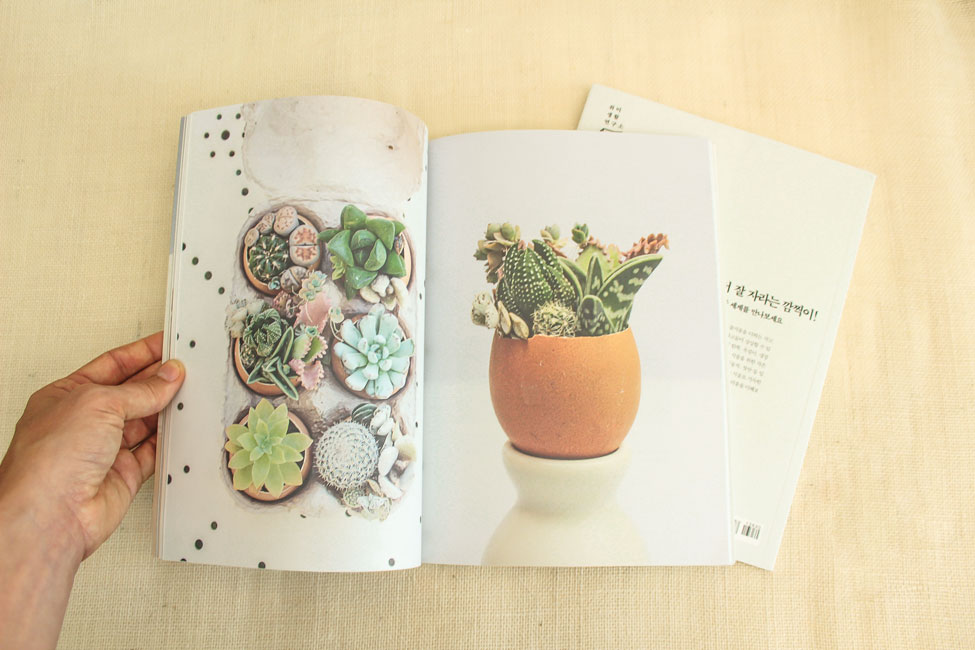 Baby Plantes | Éditions Rustica