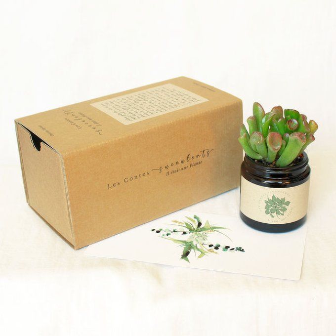 Coffret cadeau plante personnalisée entreprise, mariages, baptêmes, anniversaires