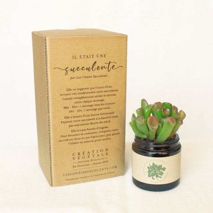 Coffret cadeau plante personnalisée pour cadeaux d'entreprise, mariages, baptêmes, anniversaires