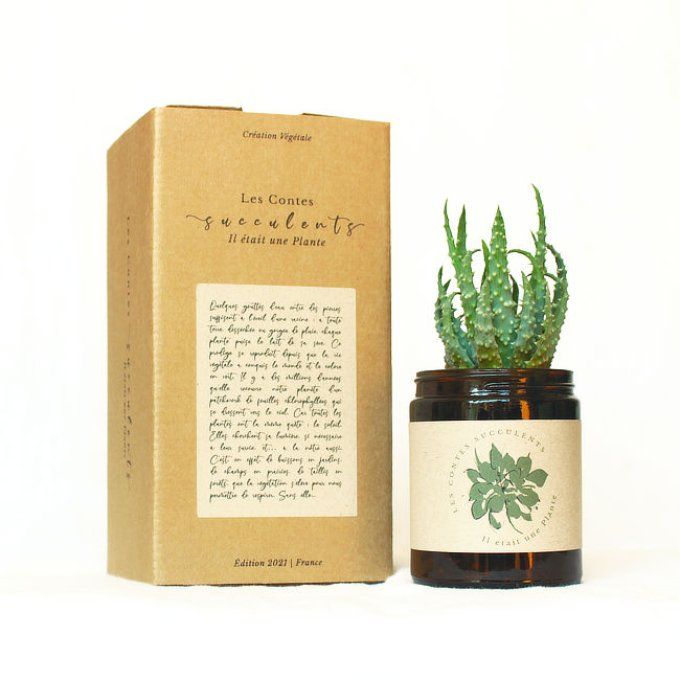 La Box Succulente | 180 ml