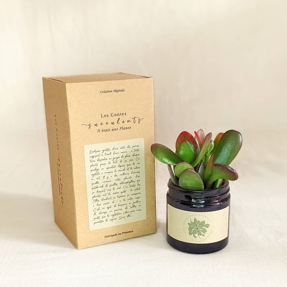 Coffret cadeau personnalisé  Plante message pour mariage & entreprise