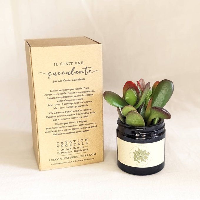 La Box Succulente | 60 ml