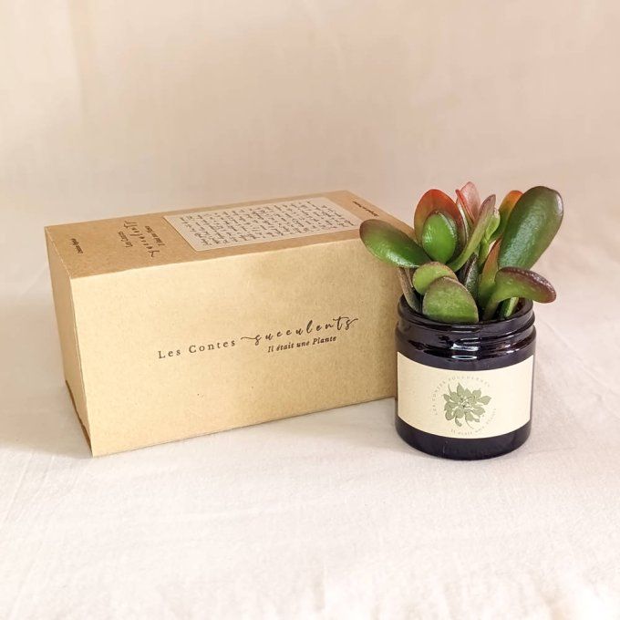 La Box Succulente | 60 ml