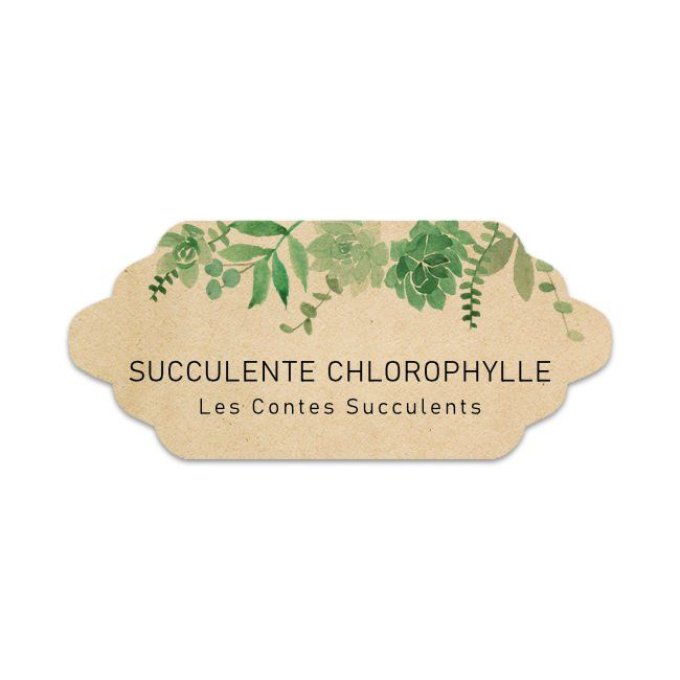 Étiquette BOXLCS120 | Chlorophylle #1