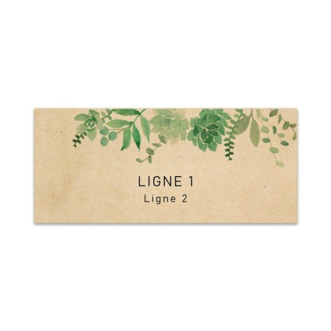 Étiquette BOX3LCS120 | Chlorophylle #1