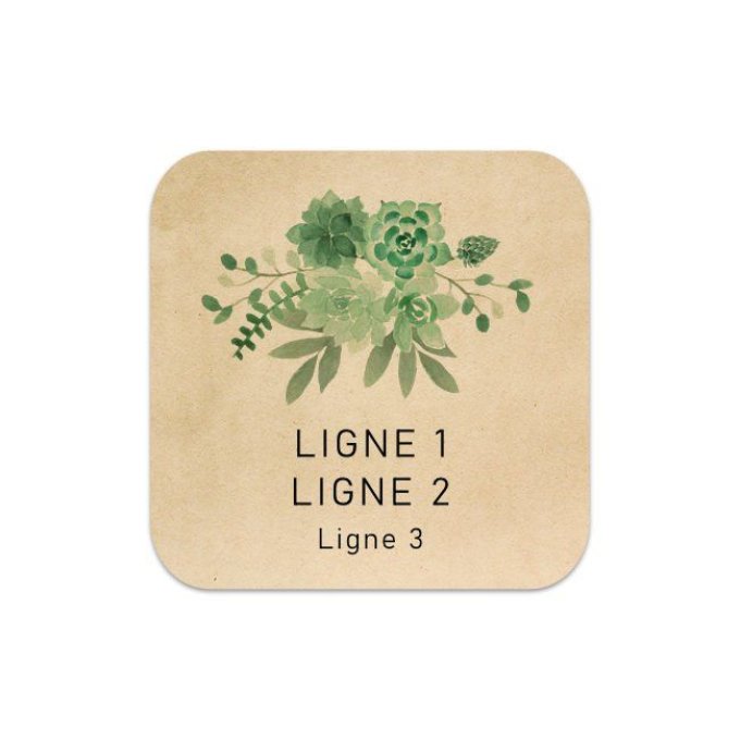 Étiquette BOXLCS120 | Chlorophylle #2
