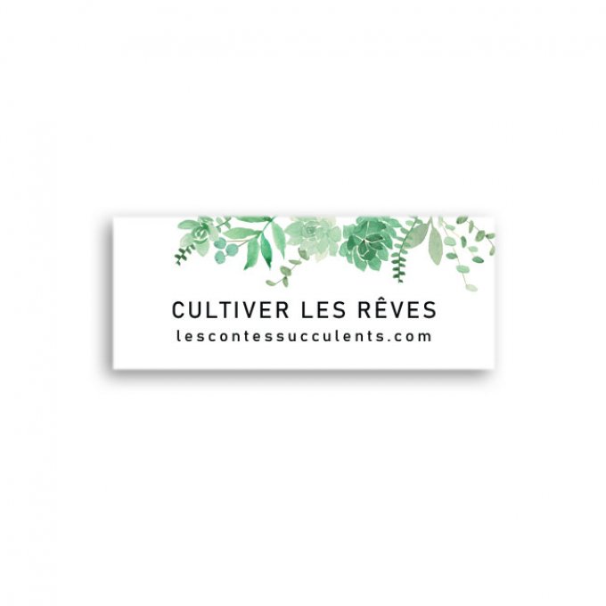 Entreprises | Chlorophylle