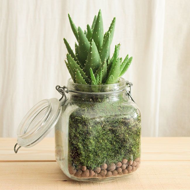 Carnet de Bord | Fête des Pères | 21 juin 2020 ...