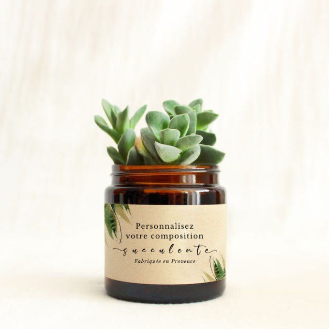 Plante succulente personnalisée pour cadeaux d'entreprise, mariages, baptêmes, anniversaires