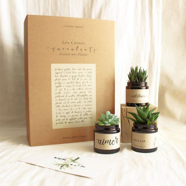 La Box Succulente | Trio 120 ml