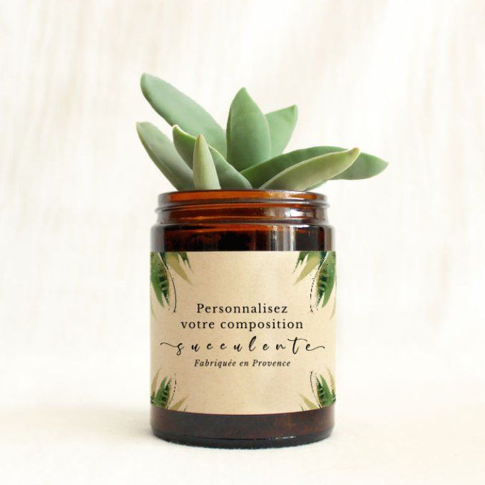 Plante succulente personnalisée pour cadeaux d'entreprises, mariages, baptêmes, anniversaires