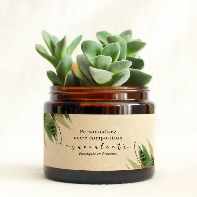 La Succulente | 500 ml