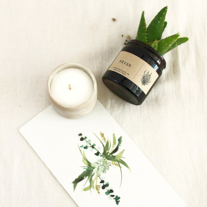 Coffret Cadeau | Mini Succulente & Bougie Parfumée