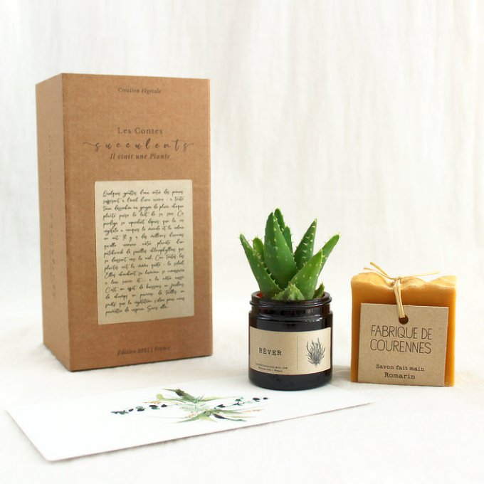 Coffret Cadeau | Mini Succulente & Savon Artisanal