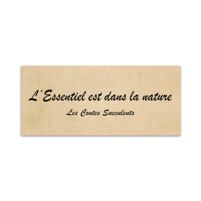 Étiquette BOX3LCS120 | L'Essentiel #4