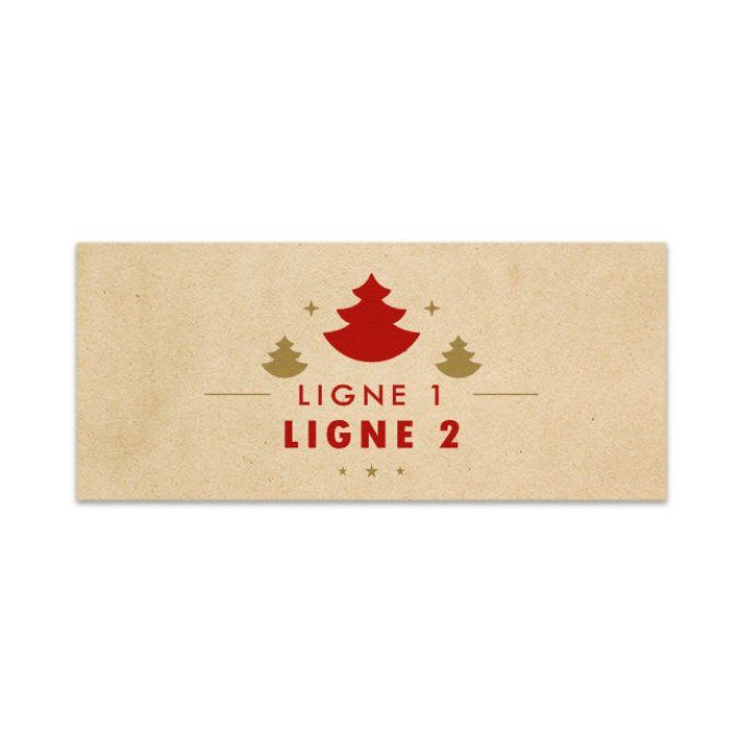 La Succulente de Noël | 60 ml  - Traditionnel 1
