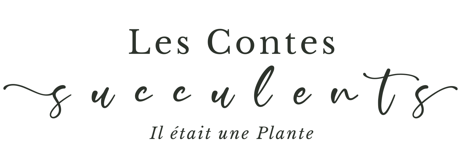 lescontessucculents.com
