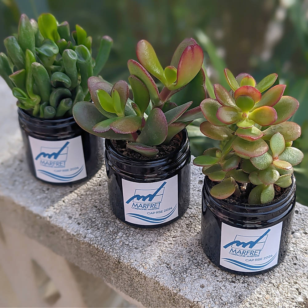 Affirmation de l'engagement RSE de Marfret