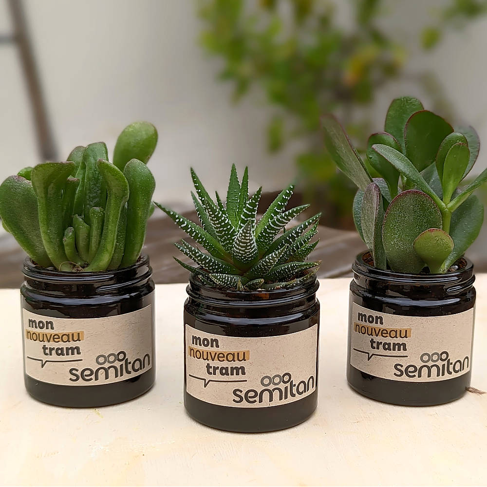 Inauguration du nouveau tramway de Nantes