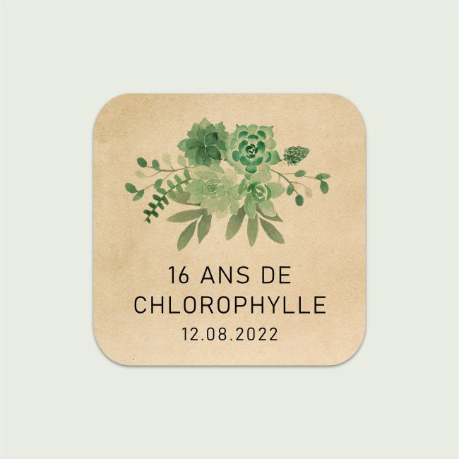 Chlorophylle #2 | Carré coins arrondis