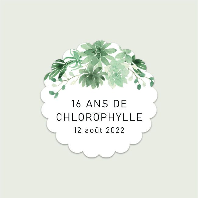 Chlorophylle #4 | Rond dentelé