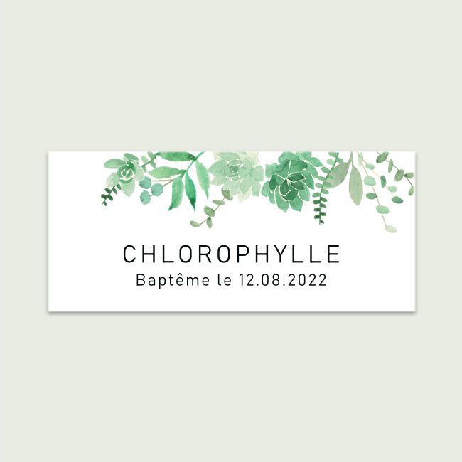 Chlorophylle #1 | Rectangle