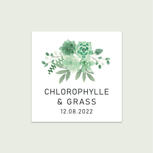 Chlorophylle #2 | Carré