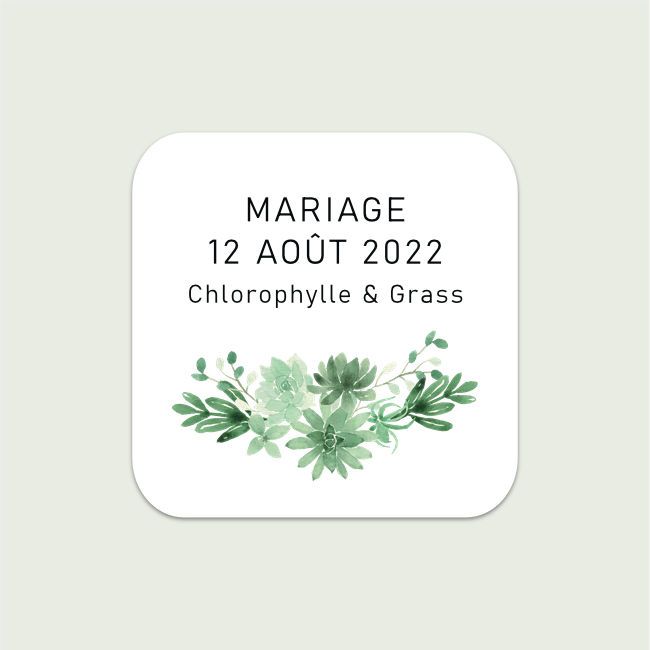 Chlorophylle #3 | Carré coins arrondis