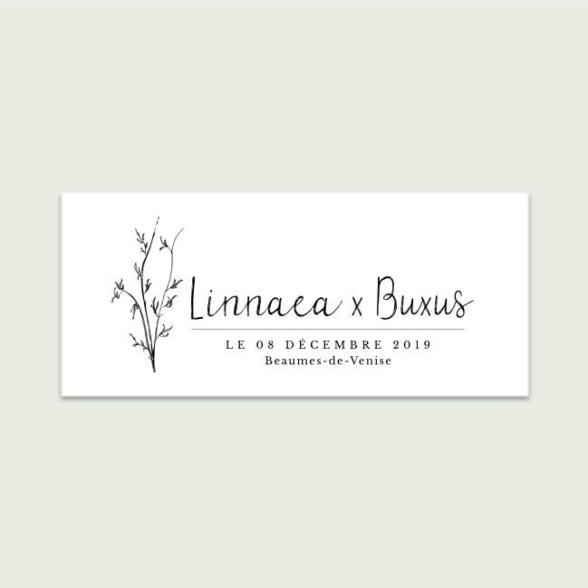 Les Mots Simples #7 | Linnaea & Buxus