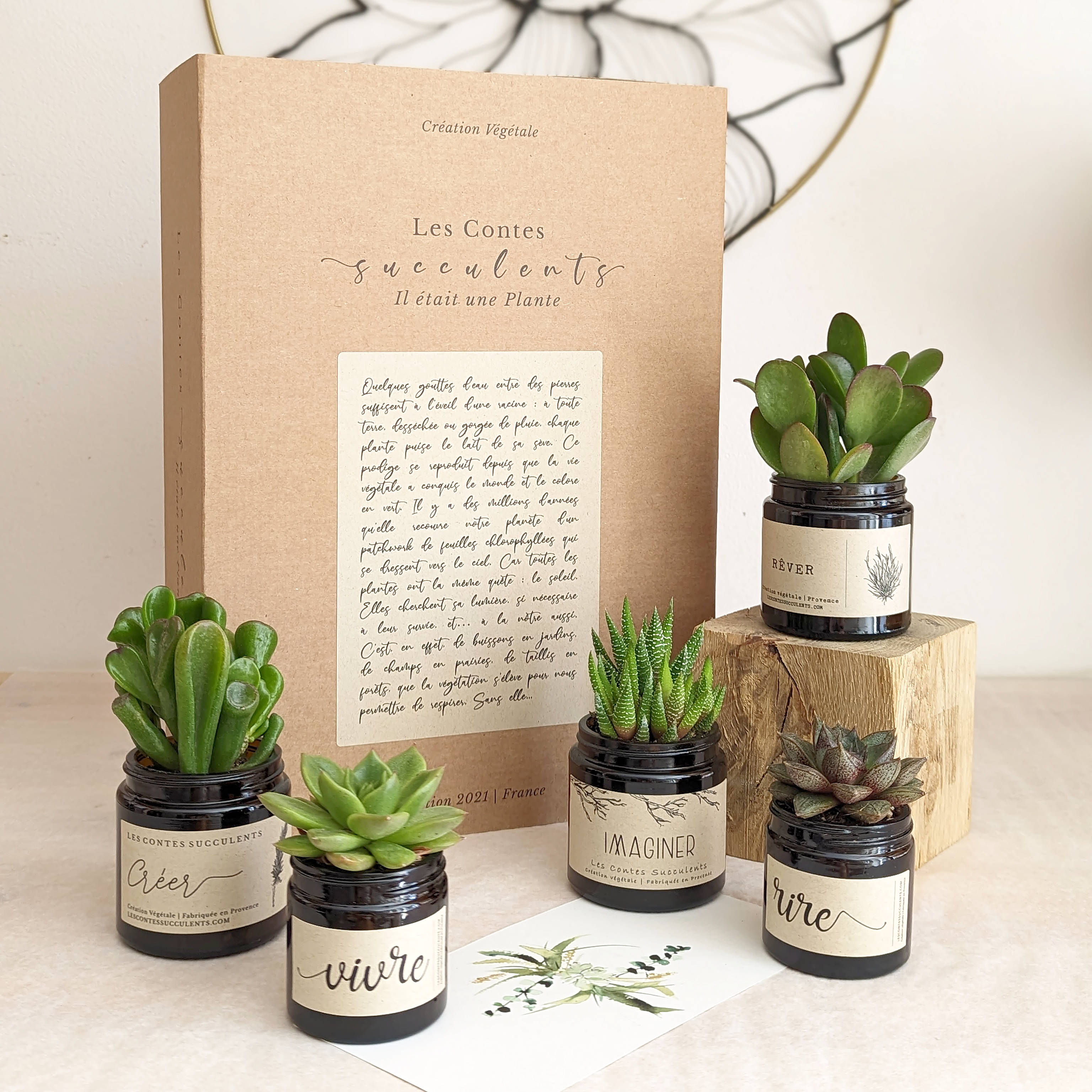 Coffret cadeau plante personnalisée