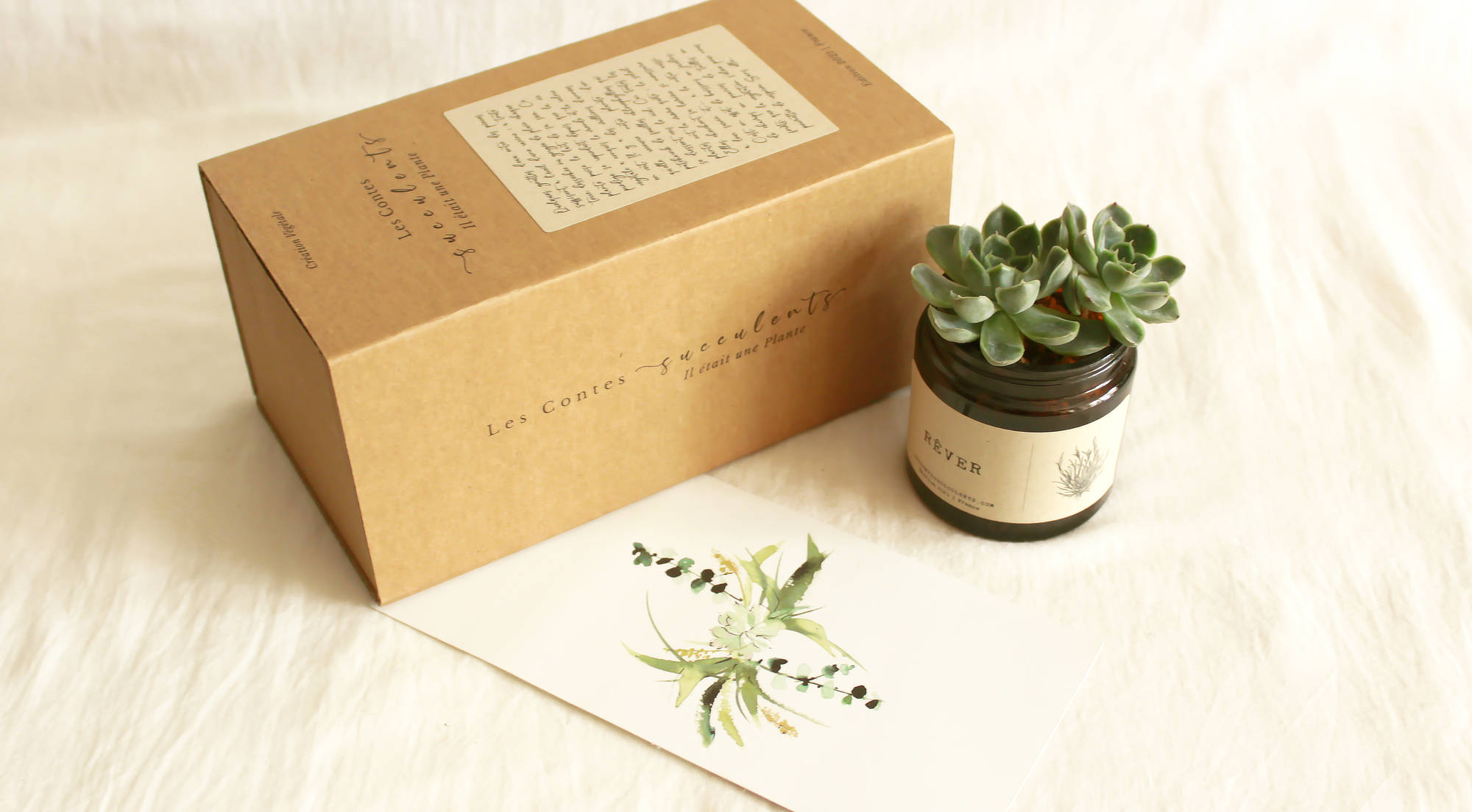 Coffrets cadeaux plantes personnalisées - Les Contes Succulents